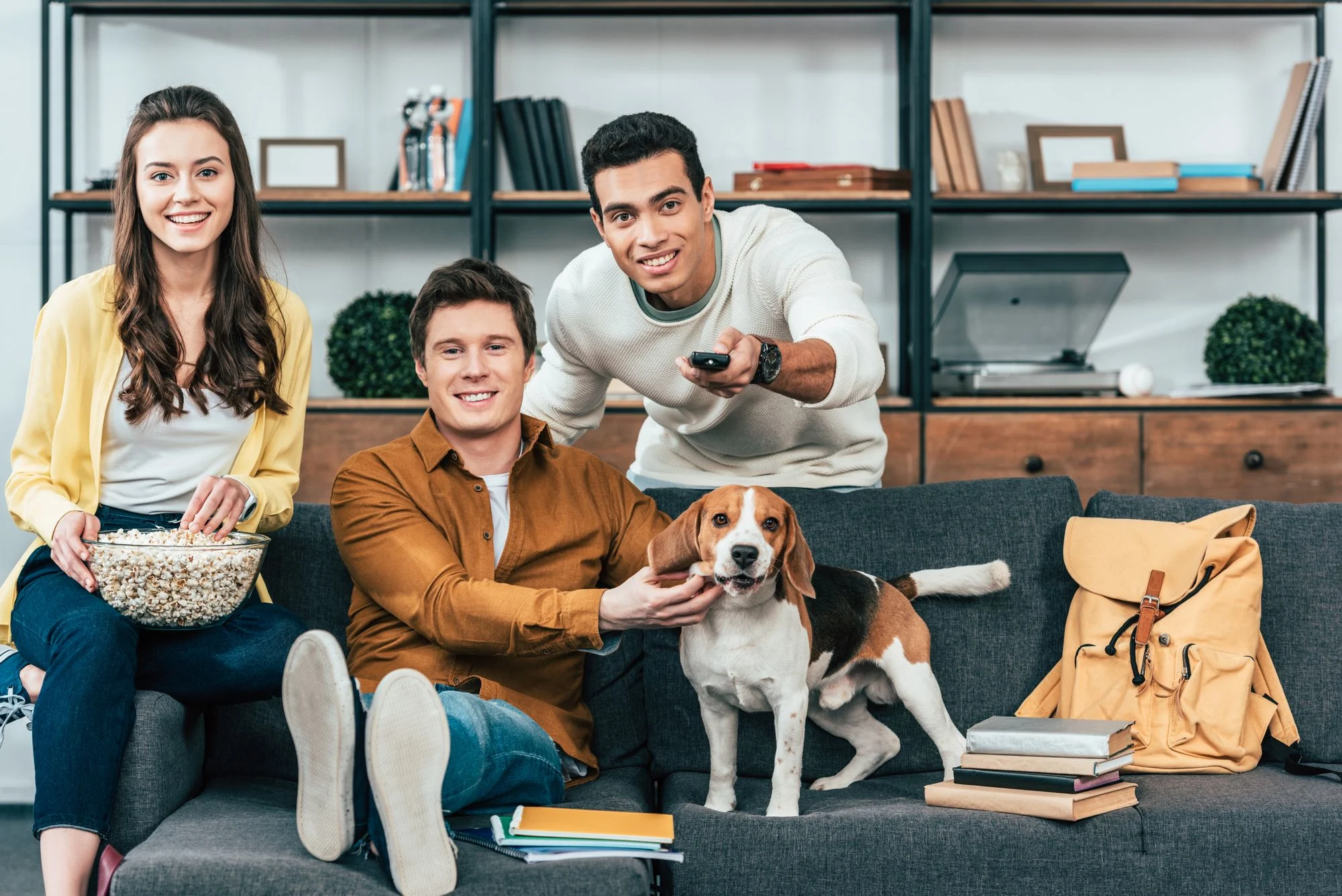 Pet watching a movie with friends in a living room.