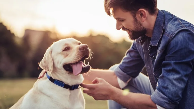 akc-communicate-header-new.jpg