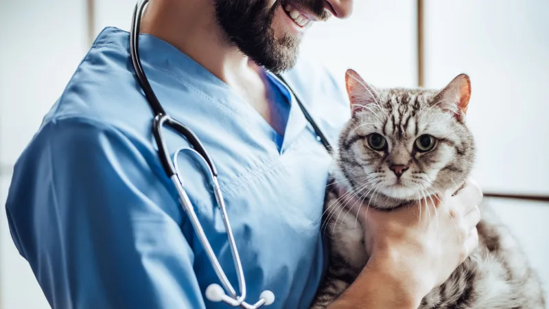 annual-vet-visit-header.jpg