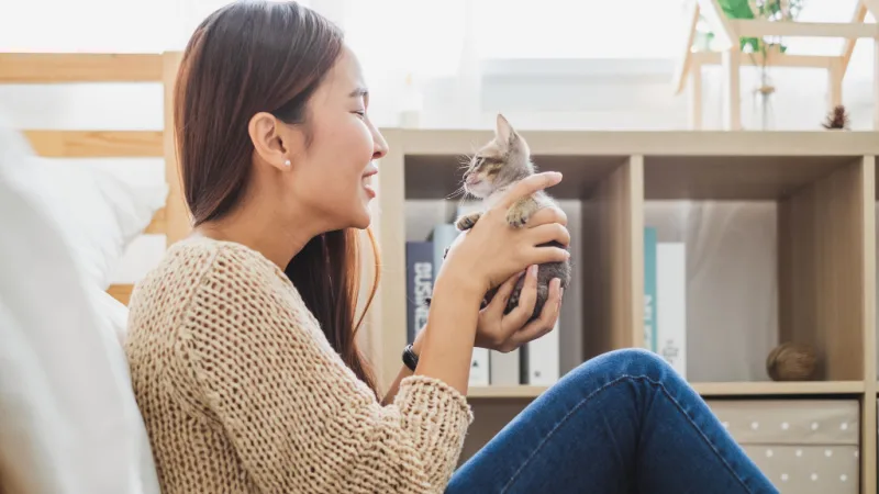 cat-owner-header.jpg