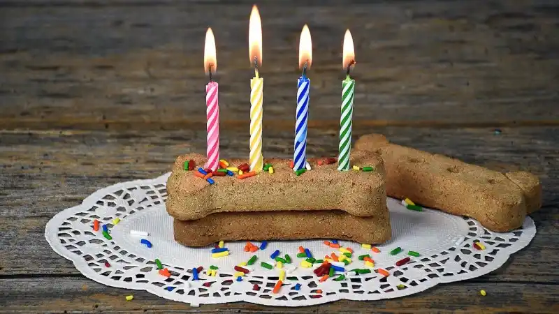 header_birthday_cakes_new.jpg