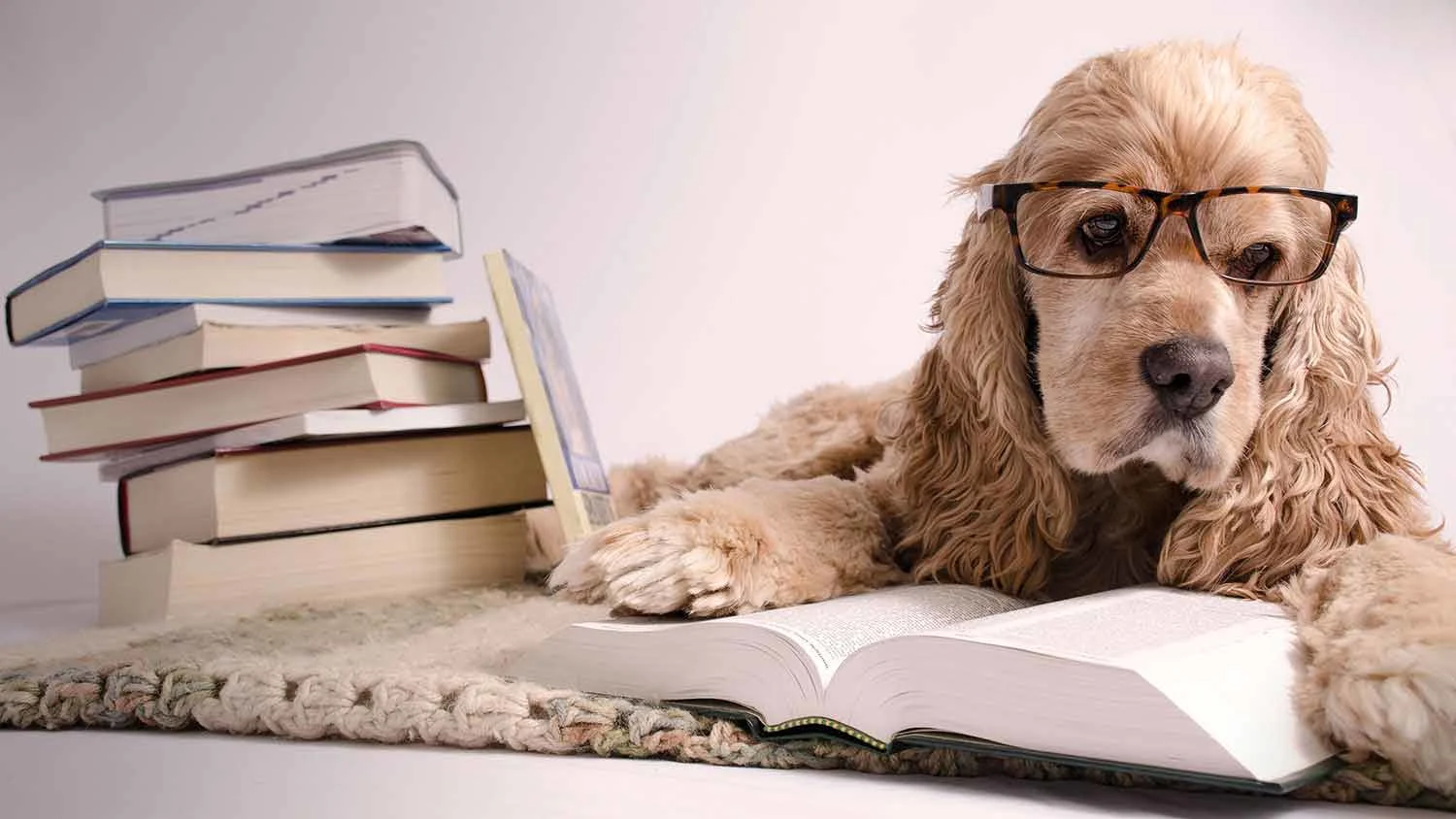 header_bookworm.jpg