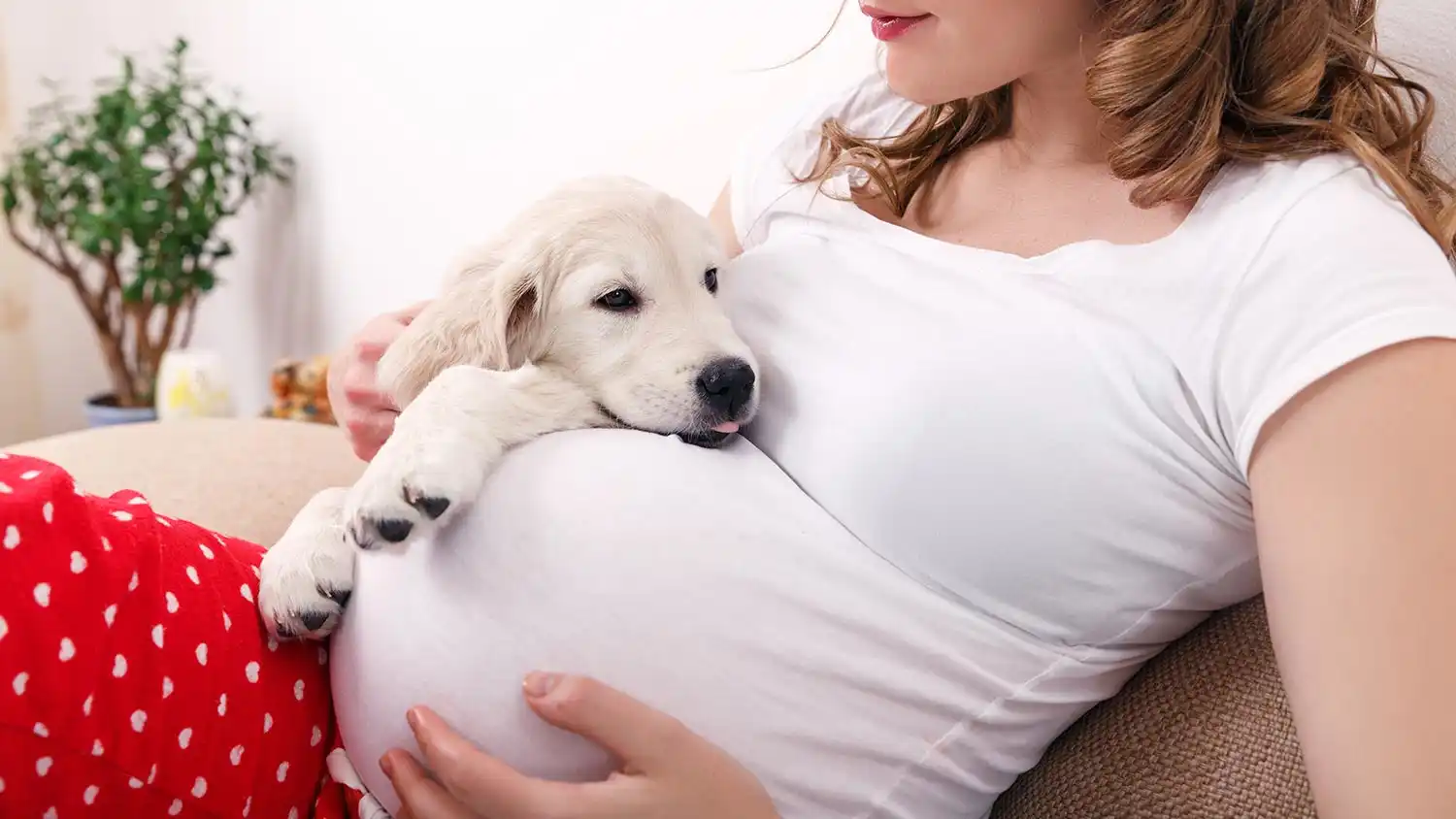 header_new_baby.jpg