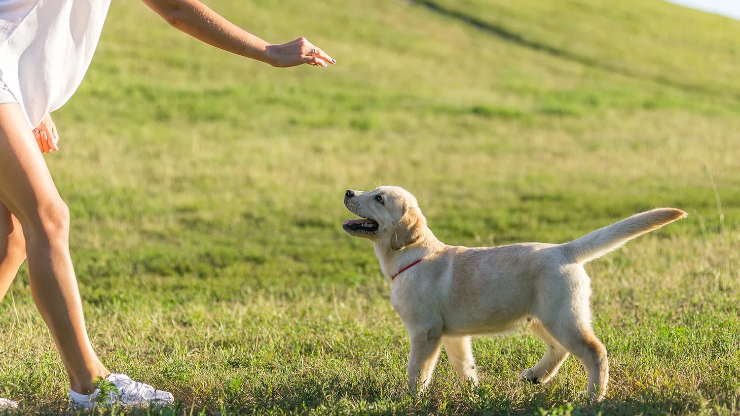 header_nose_touch.jpg